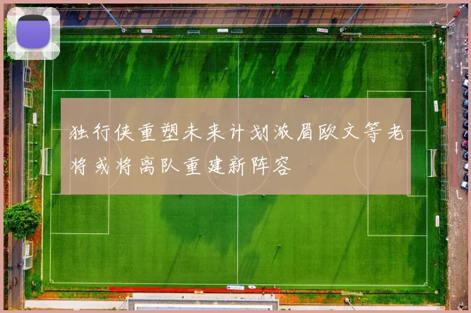 独行侠重塑未来计划浓眉欧文等老将或将离队重建新阵容