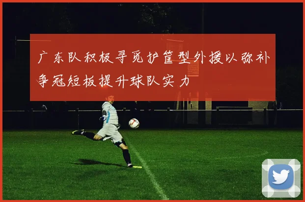 广东队积极寻觅护筐型外援以弥补争冠短板提升球队实力