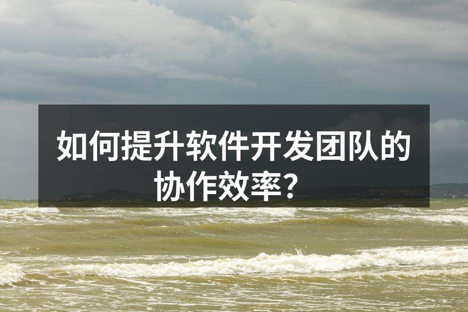 如何提升软件开发团队的协作效率？